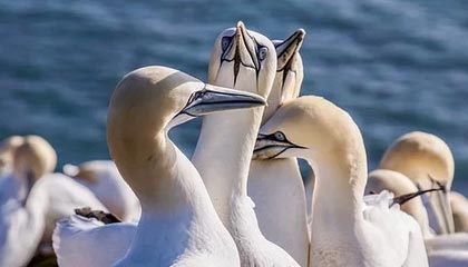 华体会登陆-天津泰达客场痛失三分，跌至积分榜下游，天津泰达放弃泰达俱乐部