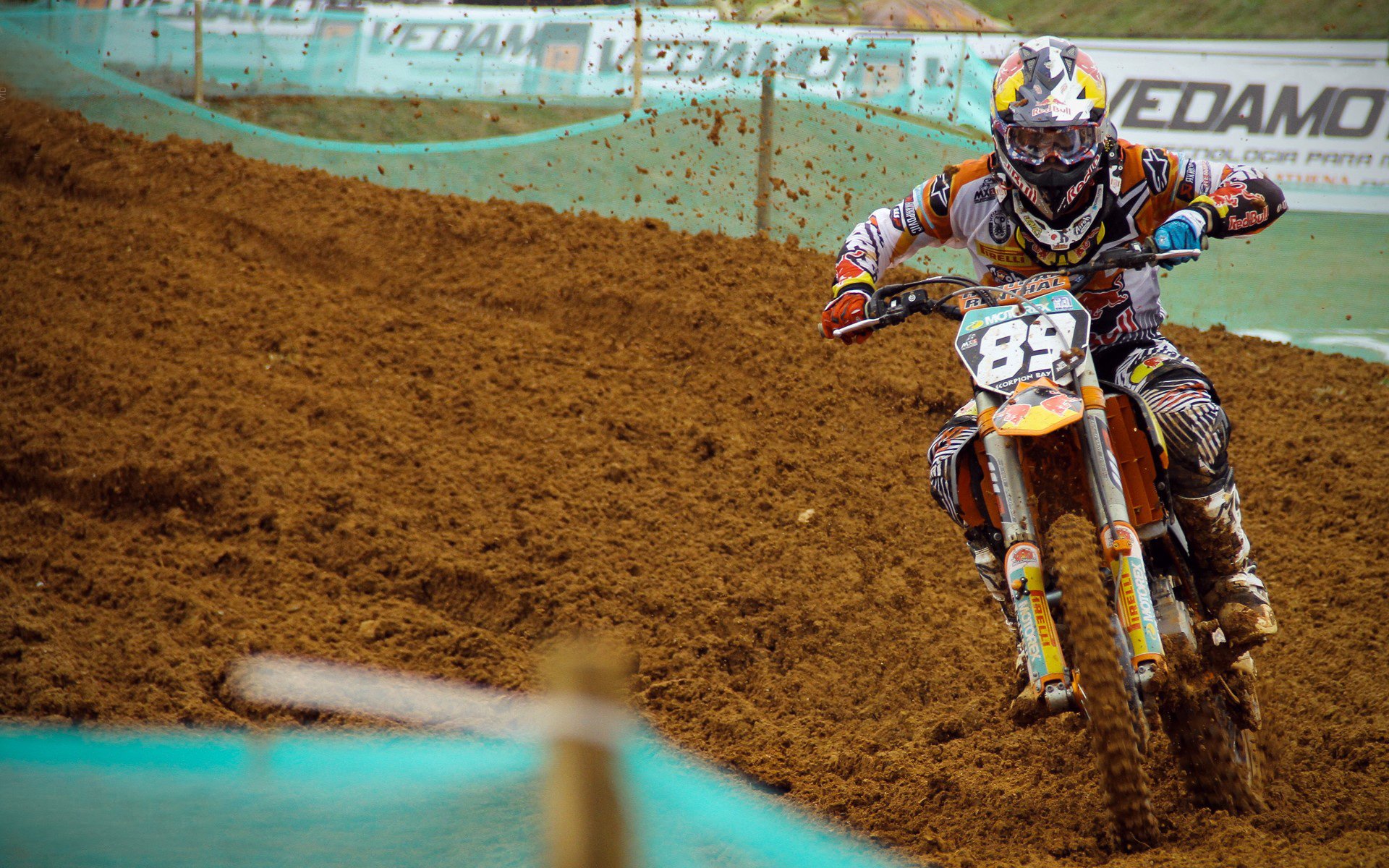 塔特的场上冷静与决断力，让袋鼠队充满信心